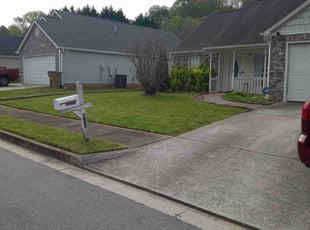 Nicole T.'s Lawn Mowing Service service result