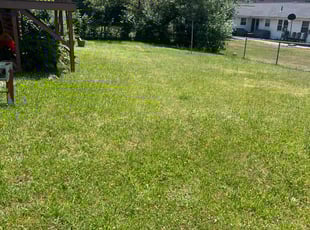 James F.'s Lawn Mowing service result
