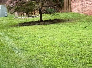 Bush Trimming by Jose Murcia for Vanesa P. in Manassas, VA
