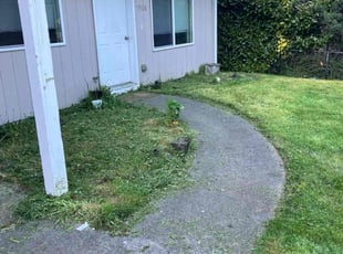 Silva A.'s Lawn Service service result