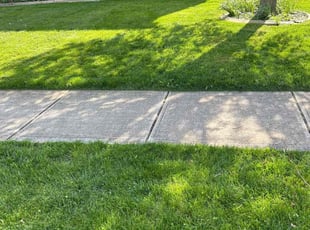 Holly B.'s Lawn Mowing service result