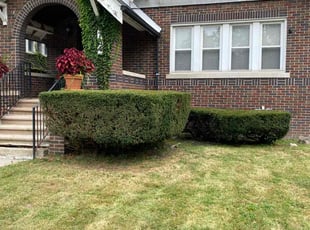 Bush Trimming by Gregory Williams for Glen M. in Detroit, MI