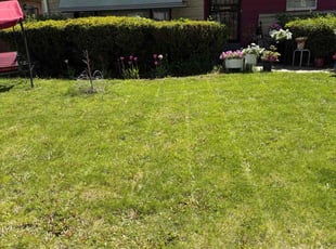 Cleanups by Ricardo Whitehead for Diana D. in Milwaukee, WI
