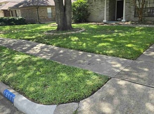 Debra D.'s Lawn Maintenance service result