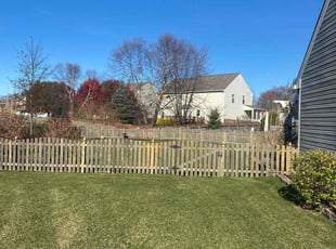 Adenike A.'s Lawn Service service result