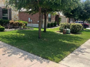 Donna R.'s Grass Cutting service result