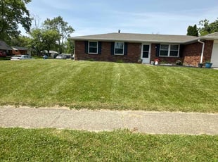 Moriah H.'s Lawn Care service result