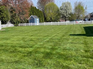 Houliang L.'s Lawn Service service result