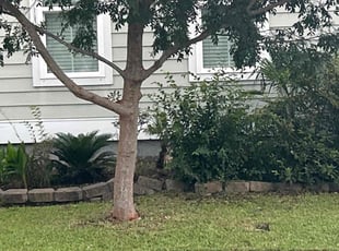 Weeding by Yard Transformers for Jordan E. in Charleston, SC