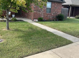 Carolyn O.'s Grass Cutting service result