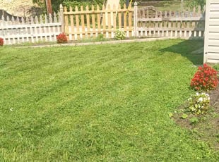Lela G.'s Lawn Care service result