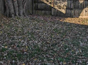 Cleanups by Josh Papworth for Heather R. in Columbus, OH
