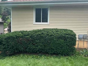 Bush Trimming by Drew Jones for Laurie H. in Omaha, NE