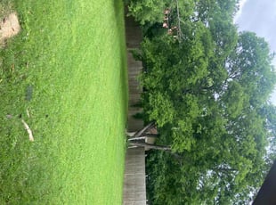 Linda R.'s Lawn Mowing Service service result