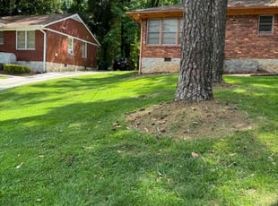 rebecca g.'s Lawn Mowing service result