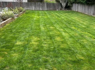 Arthur B.'s Yard Cutting service result