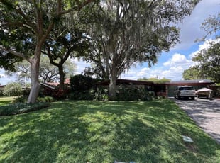 Jill G.'s Lawn Service service result