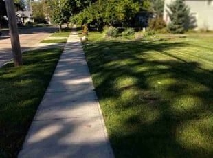 Fany C.'s Yard Cutting service result