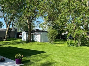 Beth H.'s Lawn Mowing service result