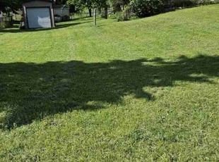 Daniel J.'s Lawn Mowing service result