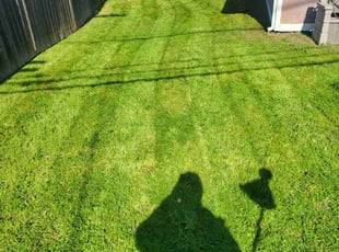 Krystal S.'s Yard Cutting service result