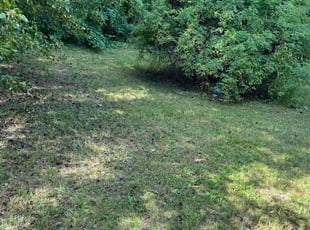 Joel S.'s Lawn Care service result