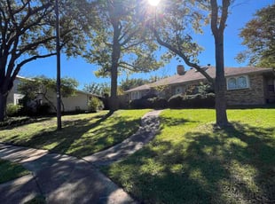 Traci N.'s Yard Cutting service result