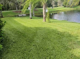 Joyce B.'s Lawn Service service result