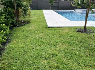 Steve V.'s Lawn Service service result