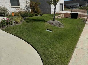 Daniel U.'s Lawn Maintenance service result