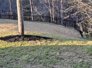 Cleanups by Roberto Carrasco for Brian P. in Charlotte, NC
