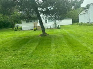 Cedric J.'s Lawn Care service result