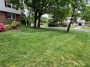 Nikki R.'s Lawn Care service result