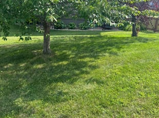 Hydra B.'s Lawn Service service result