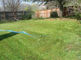 Jean T.'s Lawn Mowing service result