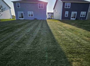 James B.'s Lawn Mowing service result