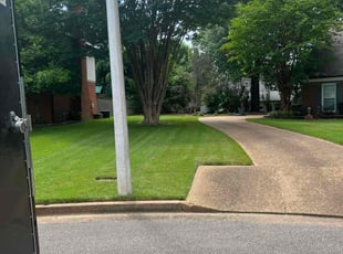 Liz M.'s Lawn Mowing service result