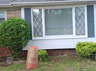 Bush Trimming by David Rider for Tonisha W. in St. Clair Shores, MI