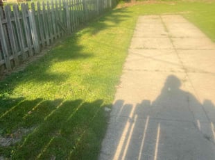 Stephanie G.'s Lawn Service service result
