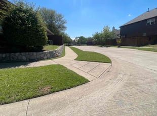 Daniel V.'s Lawn Service service result