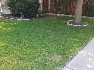 Monique A.'s Lawn Mowing Service service result