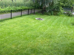 Shaun K.'s Lawn Mowing service result