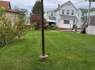Sydney N.'s Lawn Service service result