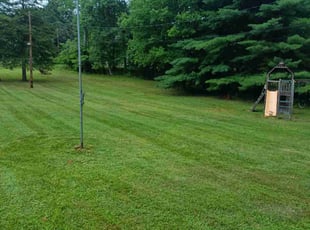 Monicque T.'s Lawn Service service result