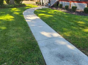 Jeannette L.'s Lawn Mowing service result