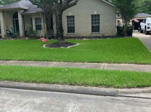 Stephanie C.'s Lawn Mowing Service service result