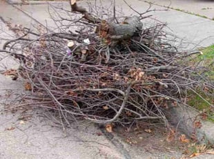 Cleanups by Kassandra Winters for Lianna D. in Arlington, TX