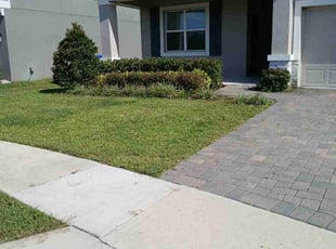 Anton H.'s Lawn Mowing Service service result