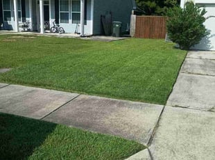 lauren a.'s Lawn Mowing service result
