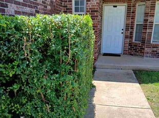 Bush Trimming by Paul Smith for Tristian B. in Edmond, OK